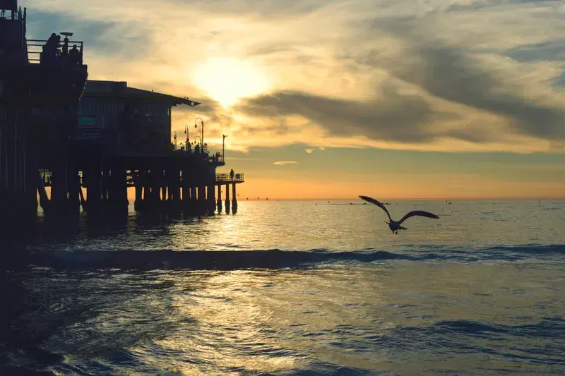 Cover Image for Finding Peace in Nature: The Therapeutic Benefits of Sunsets