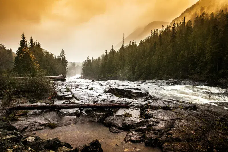 Cover Image for Finding Peace in Nature: The Benefits of Connecting with Water Bodies