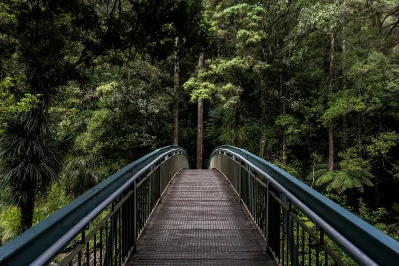 Cover Image for Finding Peace in Nature: Mindfulness Techniques at Whangarei Falls