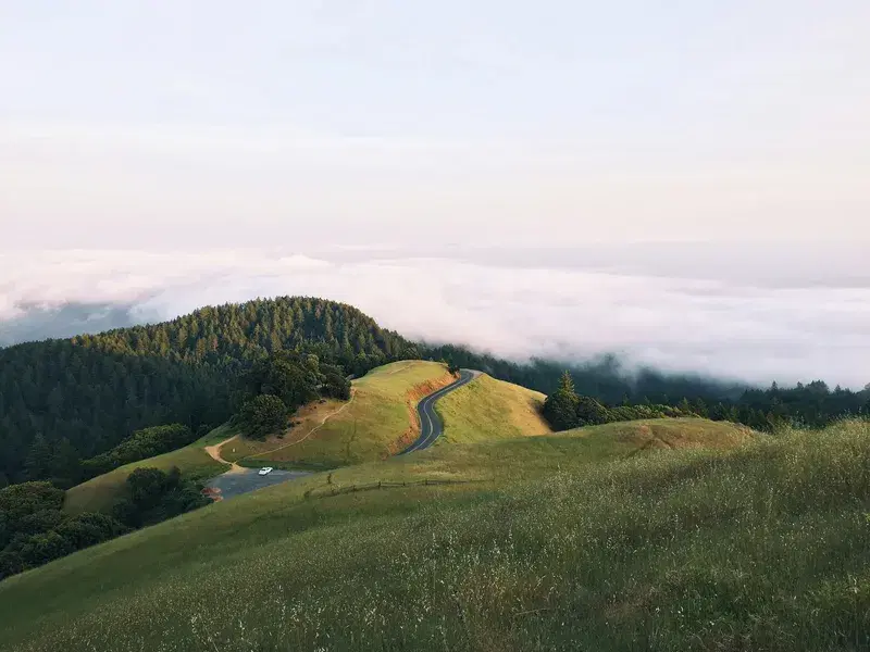 Cover Image for Finding Peace on Nature's Winding Roads