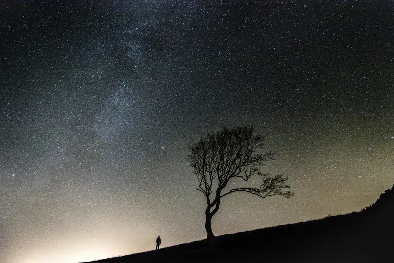 Cover Image for Finding Peace Under a Starry Sky: The Benefits of Nighttime Nature Walks