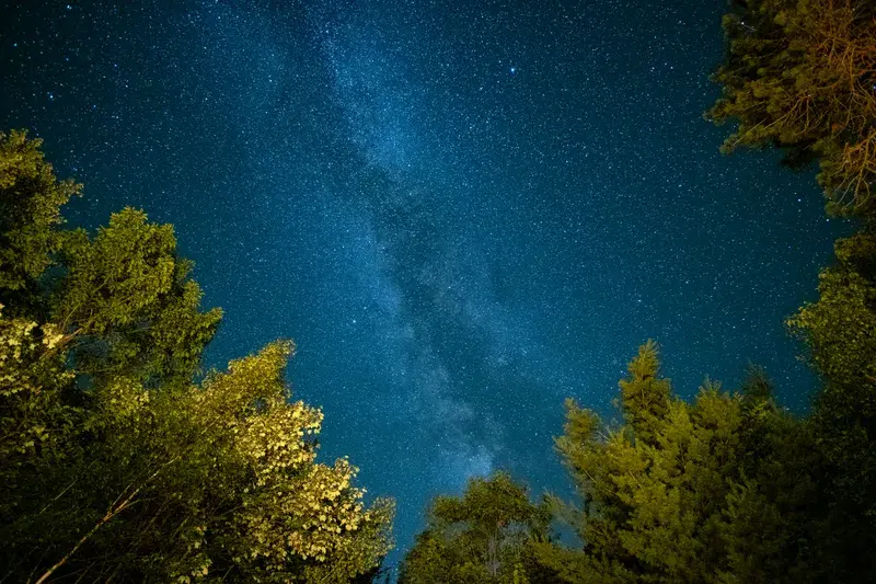 Cover Image for Finding Peace Under the Stars: Camping for Mental Wellness