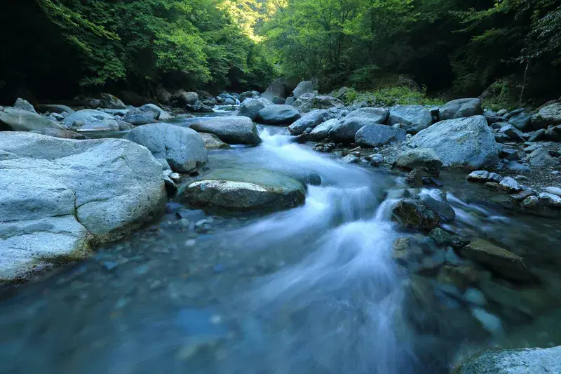 Cover Image for Finding Serenity: The Healing Power of Nature