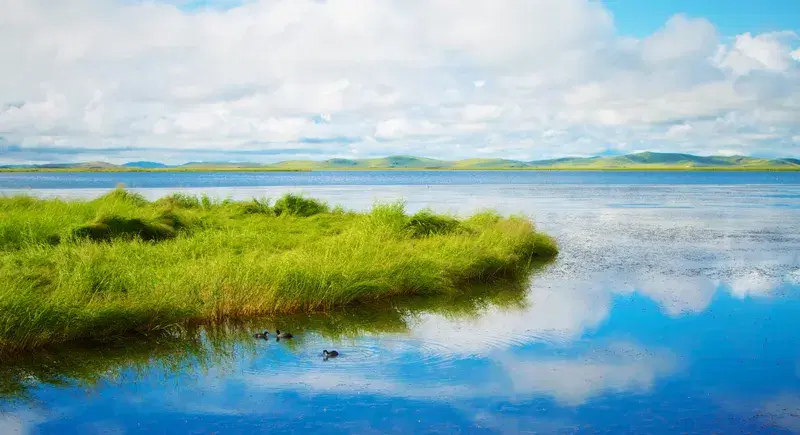 Cover Image for Finding Serenity in Nature: The Benefits of Outdoor Spaces