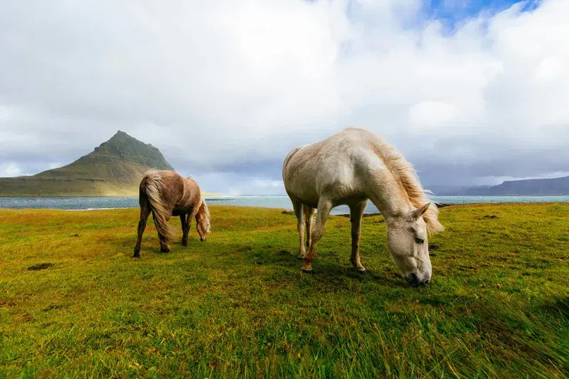 Cover Image for Finding Serenity in Nature: The Benefits of Outdoor Experiences