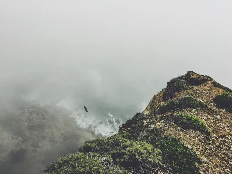 Cover Image for Finding Serenity in Nature: The Benefits of Scenic Landscapes