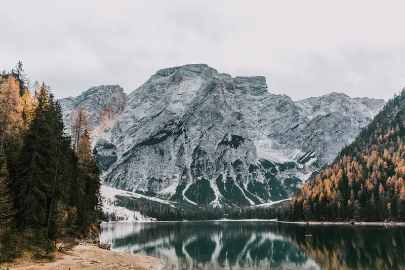 Cover Image for Finding Serenity in Nature: The Benefits of Outdoor Meditation
