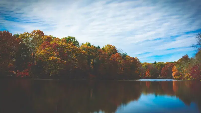 Cover Image for Finding Tranquility in Nature: The Benefits of Outdoor Spaces