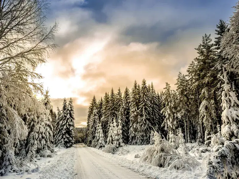 Cover Image for Finding Tranquility in Nature: Embracing the Winter Wilderness