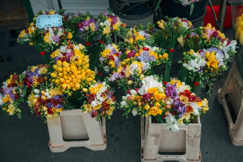 Cover Image for Incorporating Fresh Flowers into Your Wellness Routine