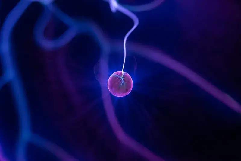 Cover Image for Harnessing the Power of Light for Wellness