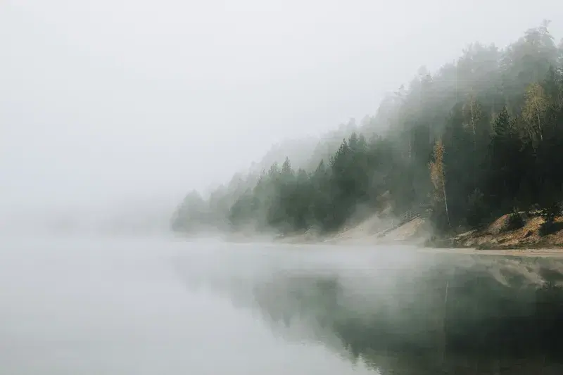 Cover Image for The Healing Benefits of Water in Nature