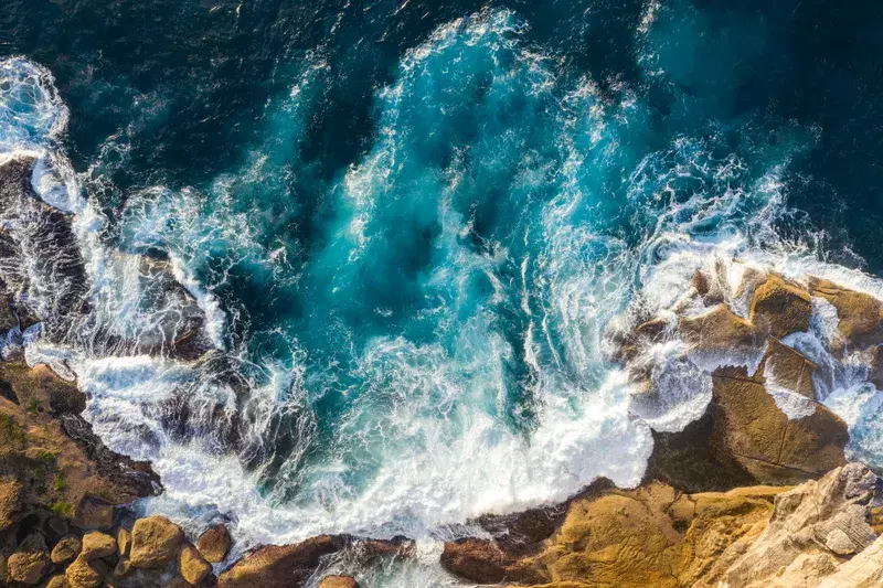 Cover Image for The Healing Power of Nature: Embracing Coastal Landscapes