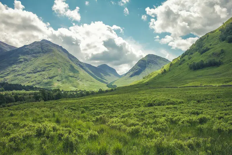 Cover Image for The Healing Power of Nature: Mindfulness in the Écosse Valley