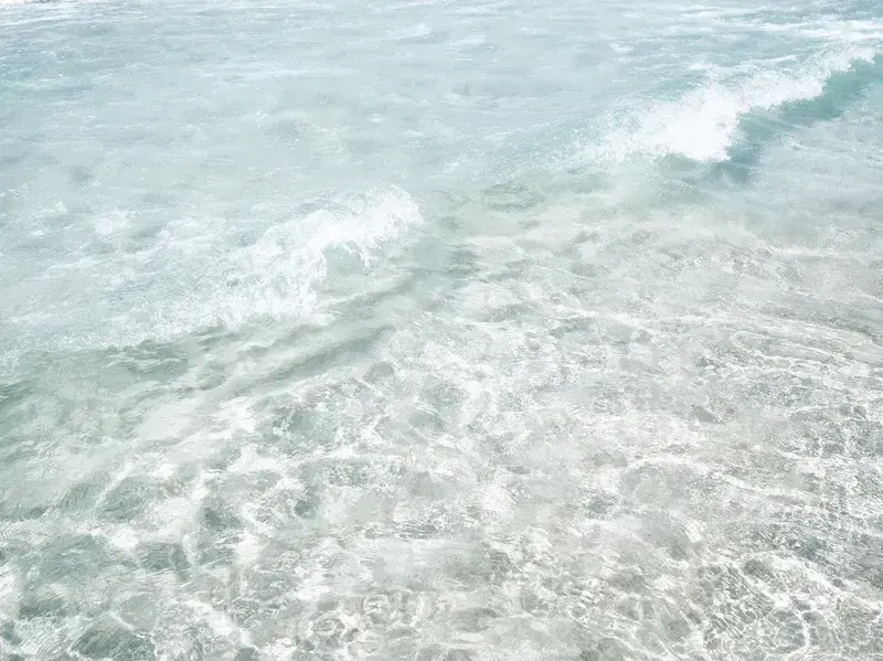 Cover Image for The Healing Power of Nature: Embracing Water for Mindfulness