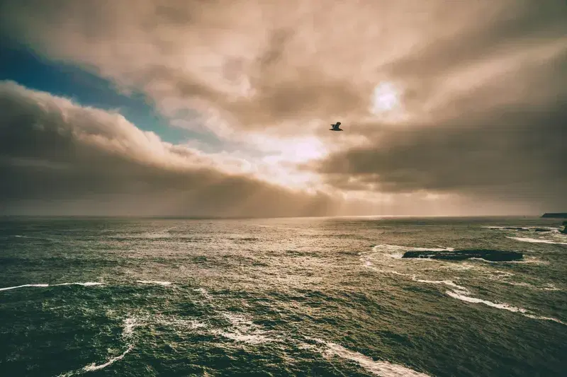 Cover Image for The Healing Power of Nature: Embracing Mindfulness by the Water