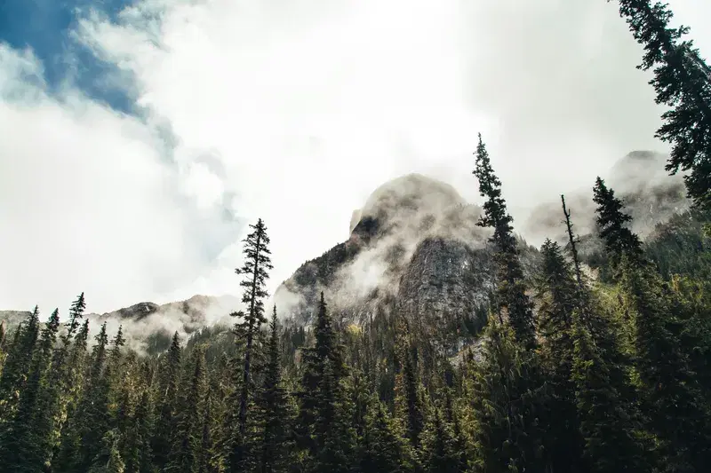 Cover Image for The Healing Power of Nature: Exploring BC's Scenic Landscapes