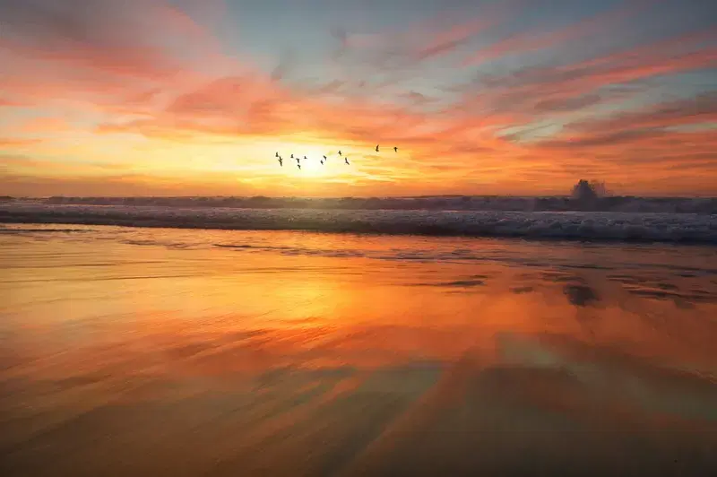 Cover Image for The Healing Power of Sunrise: Mindfulness at the Beach