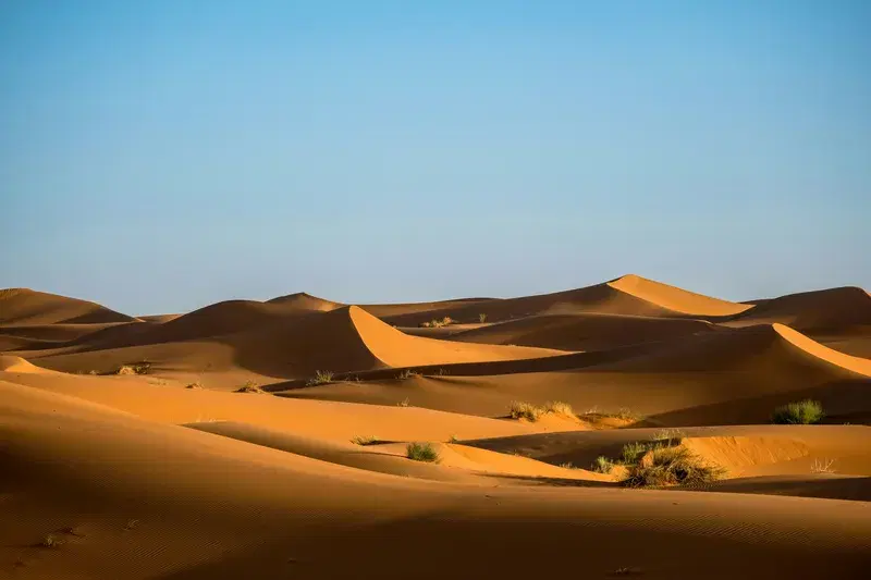 Cover Image for Connecting with Nature: The Benefits of Hiking in Desert Landscapes