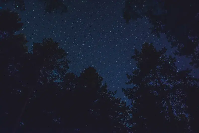 Cover Image for Connecting with Nature: The Benefits of Hiking for Mental Health