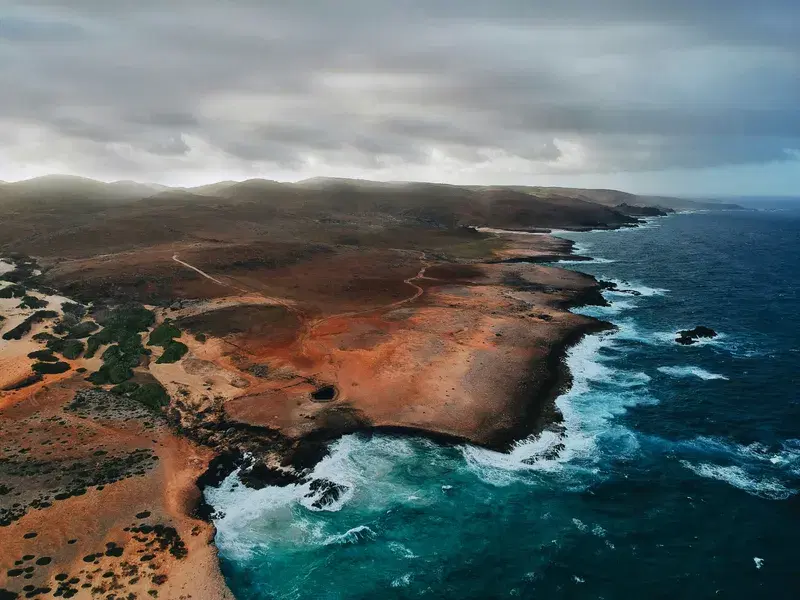 Cover Image for The Impact of Pollution on Coastal Wellness