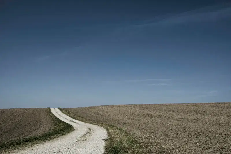 Cover Image for Finding Peace on the Path: The Importance of Nature Walks for Mental Health