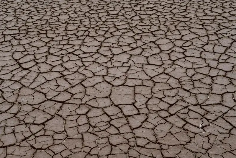 Cover Image for The Importance of Dried Soil in Ecosystems