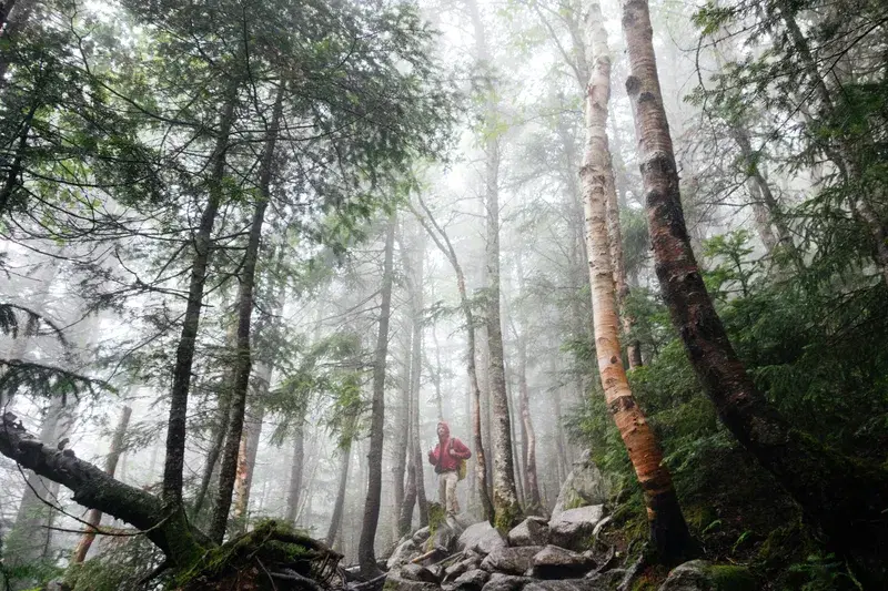 Cover Image for The Mental Health Benefits of Morning Hikes in Nature