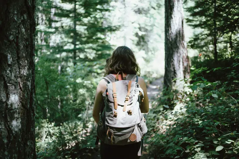 Cover Image for Connecting with Nature: The Mental Health Benefits of Hiking