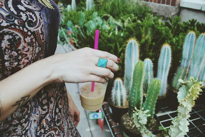 Cover Image for Mindful Home Decor: Integrating Nature with Potted Plants and Herbs