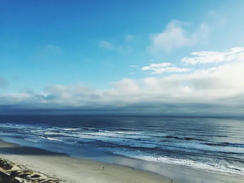 Cover Image for Mindful Moments at Daytona Beach: Embracing Nature for Wellness