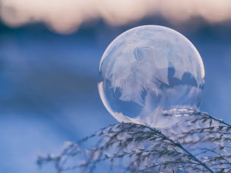 Cover Image for Mindful Moments: The Serenity of Nature Photography