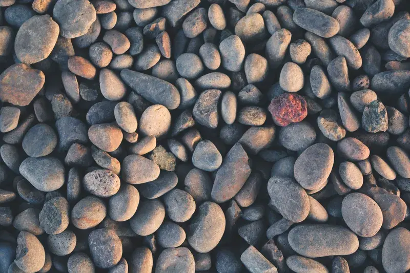 Cover Image for Creating Mindful Walkways: The Benefits of Natural Stone Pathways