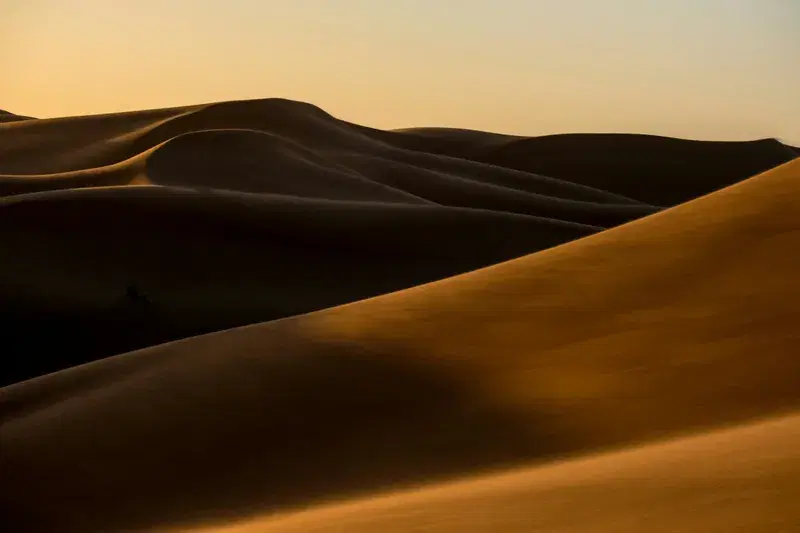 Cover Image for Embracing Nature: The Benefits of Mindfulness in Desert Landscapes