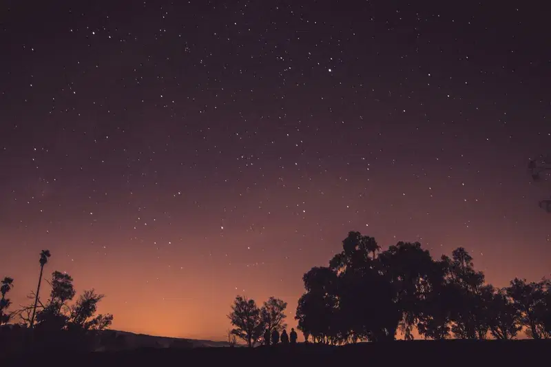 Cover Image for Finding Tranquility in Nature: The Benefits of Mindfulness in Outdoor Settings