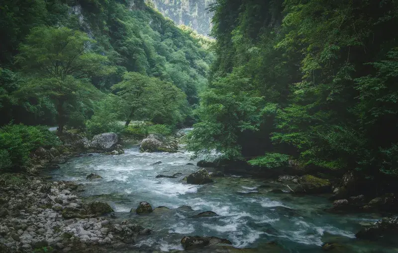 Cover Image for Finding Mindfulness in Nature: The Benefits of Outdoor Experiences