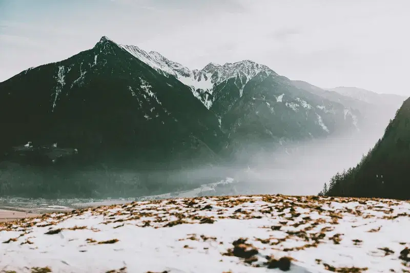 Cover Image for Finding Mindfulness in Nature: The Benefits of Outdoor Exploration