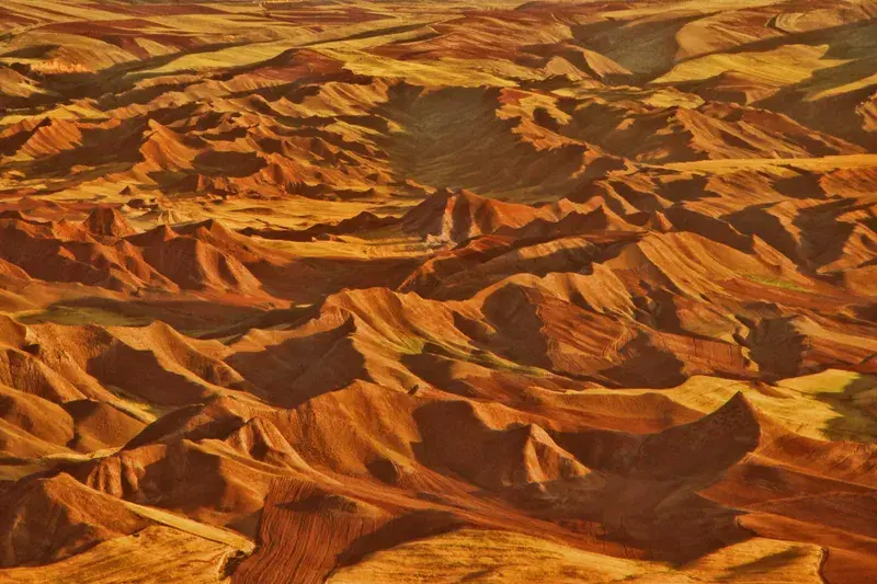 Cover Image for Finding Mindfulness in Nature: The Healing Power of Desert Landscapes