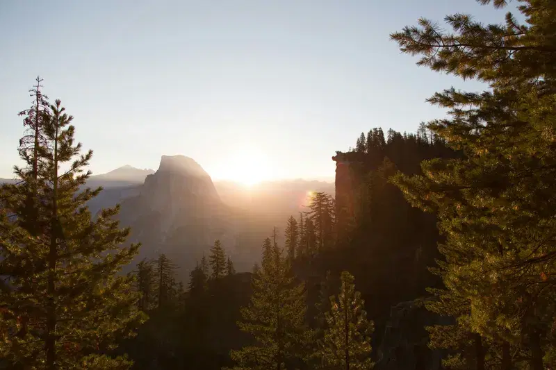 Cover Image for Finding Mindfulness in Nature: The Benefits of Trees and Sunlight