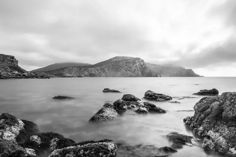 Cover Image for Finding Mindfulness in Nature: The Healing Power of Water and Flora