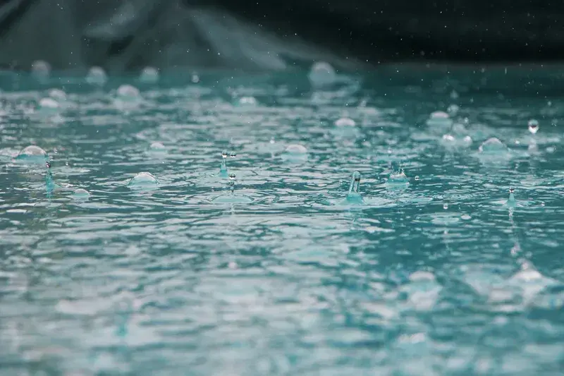 Cover Image for The Beauty of Nature: Finding Mindfulness in Raindrops