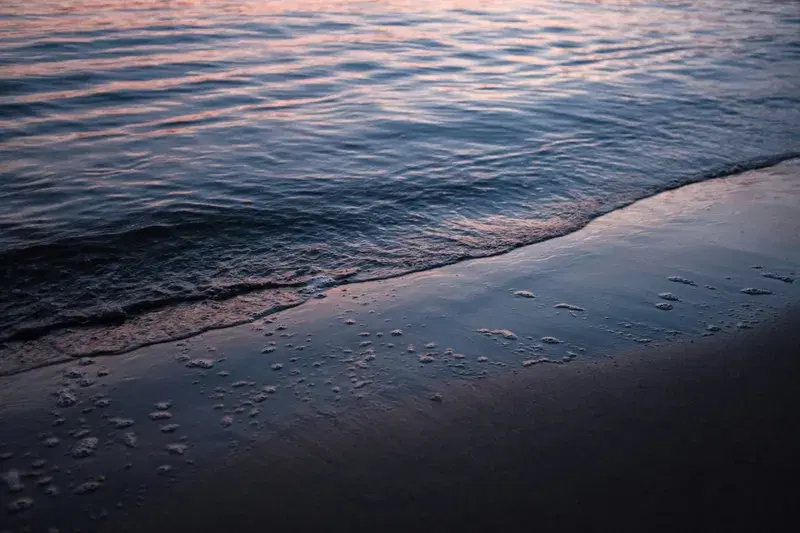 Cover Image for Finding Mindfulness in Nature: The Healing Power of the Beach