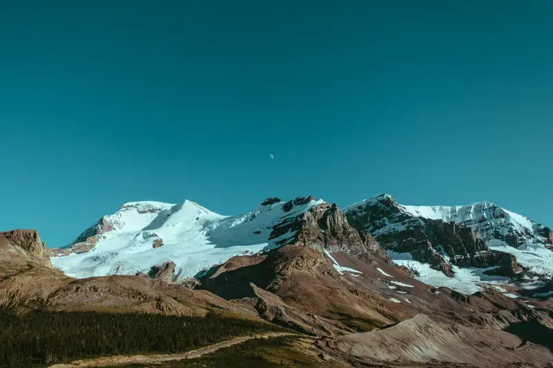 Cover Image for Finding Mindfulness in Nature: The Benefits of Scenic Views