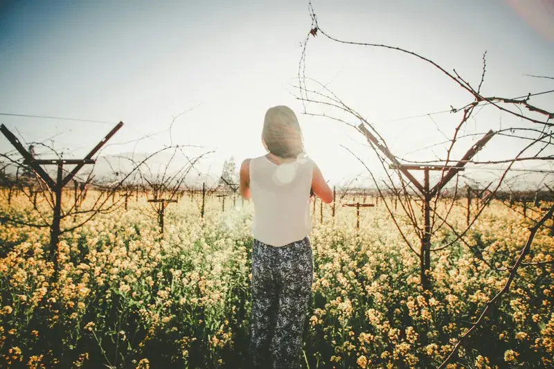 Cover Image for Finding Mindfulness in Nature: How Surrounding Yourself with Flowers Enhances Well-Being