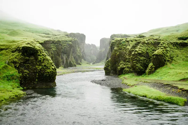 Cover Image for Finding Mindfulness in Nature: Lessons from the Green Canyon