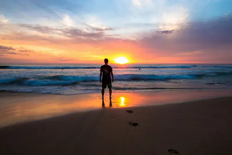 Cover Image for Capturing Nature's Beauty: Mindfulness Through Photography