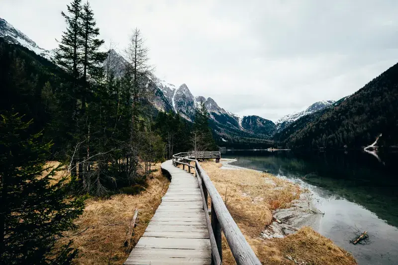 Cover Image for The Healing Power of Nature: Finding Mindfulness in Scenic Landscapes