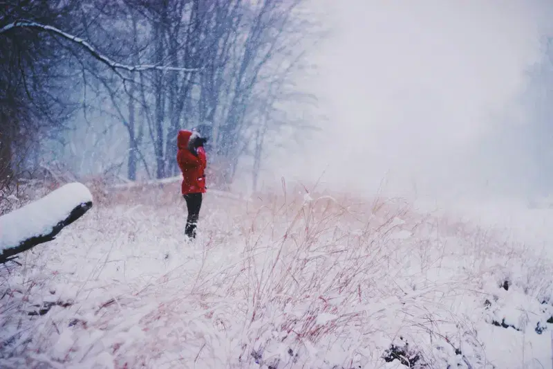 Cover Image for Finding Mindfulness in Nature: The Benefits of Snowy Landscapes