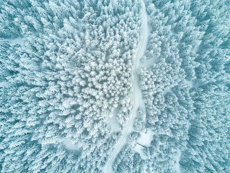 Cover Image for Finding Mindfulness in Nature: The Beauty of Winter Landscapes