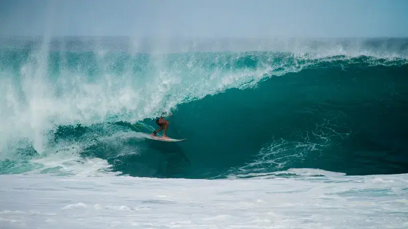 Cover Image for The Mindfulness of Surfing: Connecting with Nature and Yourself